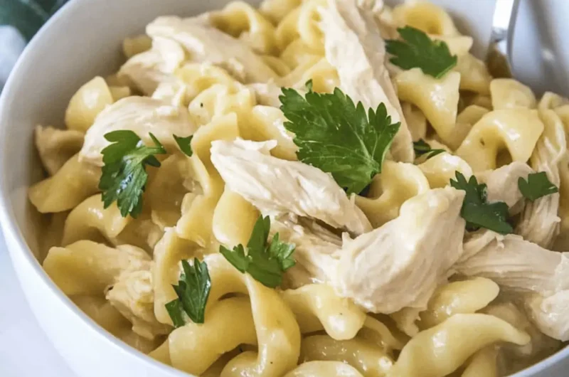 Crockpot Chicken and Noodles